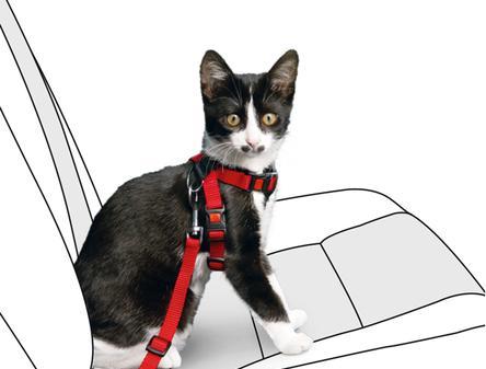 Image du produit Karlie Harnais de sécurité pour voiture (Chat)