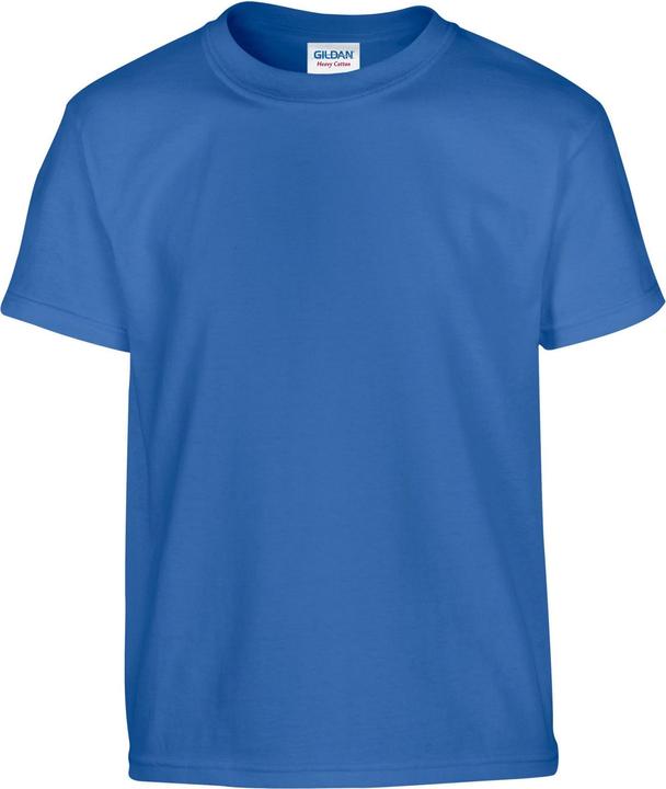 Bleu roi