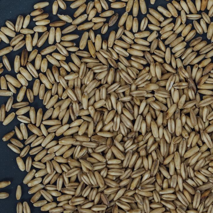 Immagine prodotto Altbachmühle Hafer geschält (1000 g)