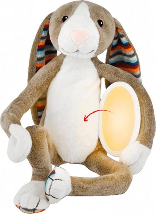 Actual product image ZaZu Night light