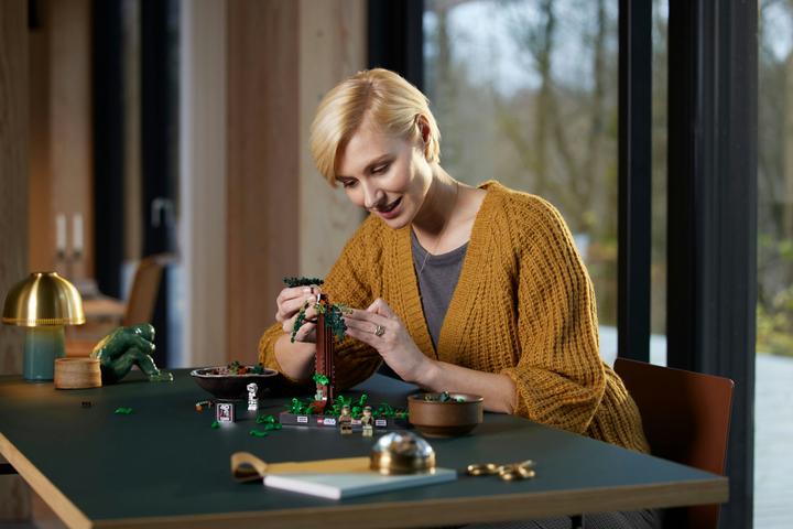 Actual product image LEGO Chase on Endor - Diorama (75353, LEGO Star Wars)