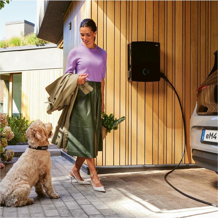 Image du produit ABL Wallbox eM4 Twin REEV 100000183 conforme aux règles d'étalonnage, Extender, 11/22 kW (Type 2, 22 kW)