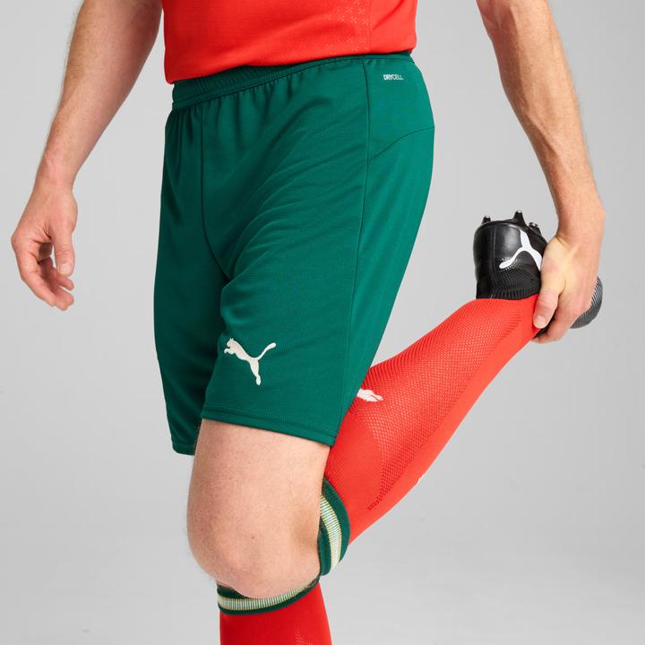 Image du produit Puma FPF Short Replica (XL)