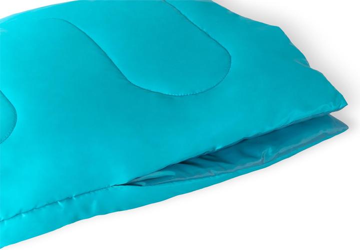 Produktbild Bestway 68099 sleeping bag Mummy shaped sleeping bag Polyester Blue (180 cm)