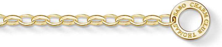 Actual product image Thomas Sabo Charm bracelet 925s (17 cm, 925 silver)