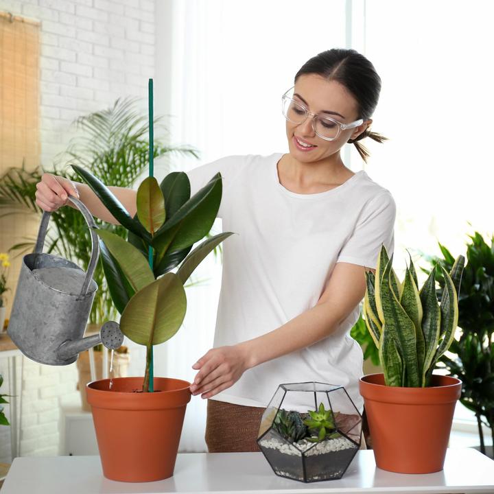 Produktbild Relaxdays 6x Vakuumbeutel