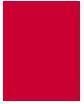 Actual product image Rimmel London Lasting Provocalips (500 Kiss The Town Red)