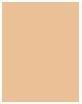 Actual product image Collistar Uniformante (01 Ivory)