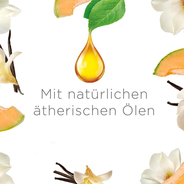 Produktbild Air Wick Freshmatic Max eCom Starter-Set Sommervergnügen