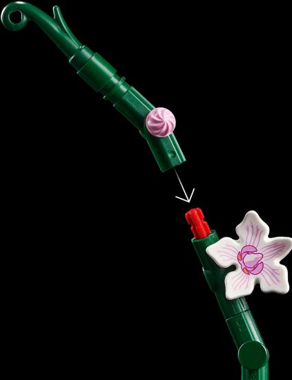 Image du produit LEGO Orchidée (10311, LEGO Botanical)