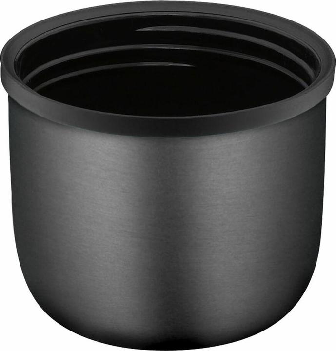 Actual product image Thermos Everyday TC (0.70 l)