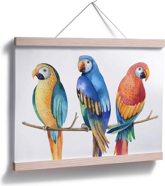 Produktbild Trenddeko Kvilis - Bunte Papageien (80 x 60 cm)