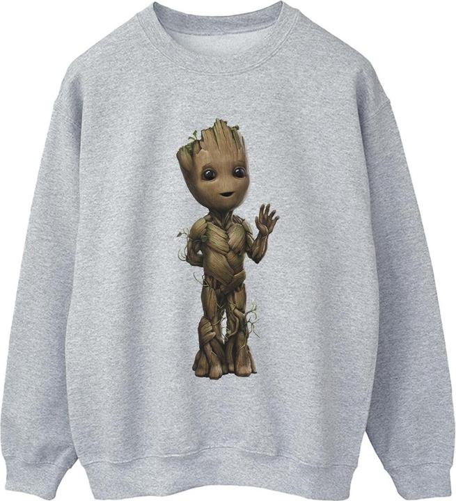 Image du produit - Sweat AM GROOT WAVE POSE - Femme (M)