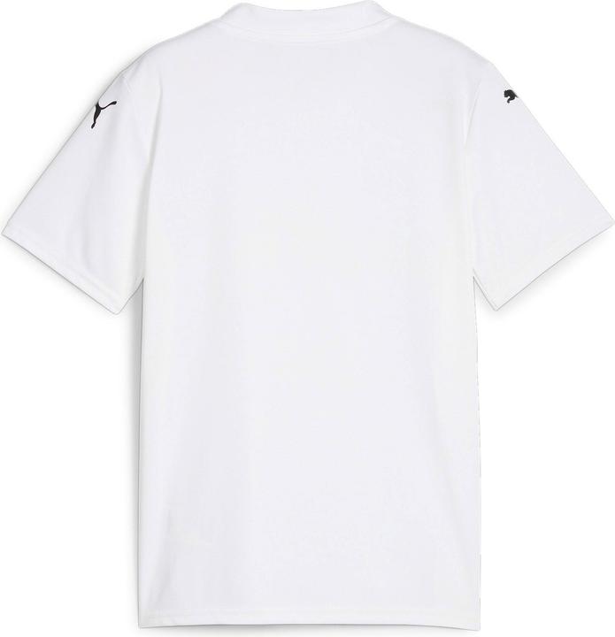 Actual product image Puma teamGLORY Jersey Jr (140)