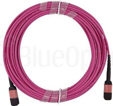 Produktbild CBO LWL MPO Trunkkabel OM4 12 Kerne 3 Meter Typ B