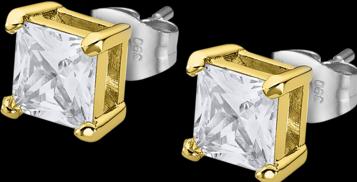 Actual product image Lotus Style LS2166-4/3 Earrings (Stainless steel)