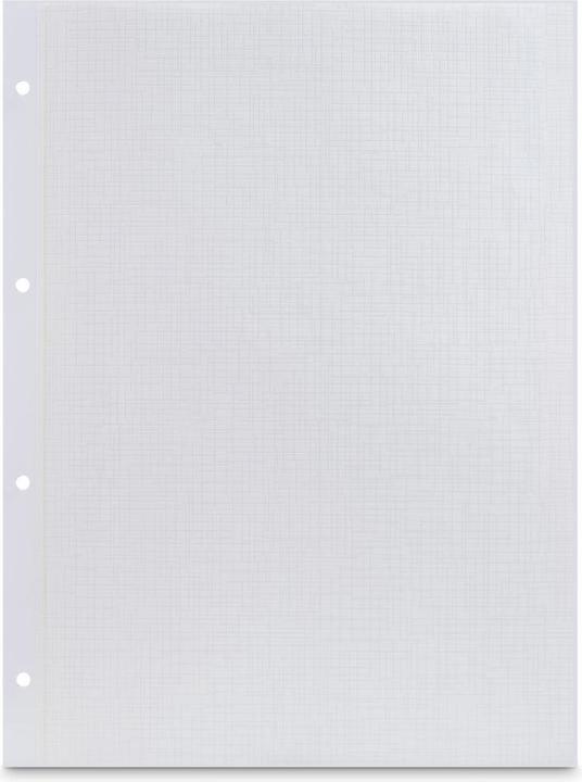 Immagine prodotto Hama Cartoncino fotografico con vetro, 23,3 x 31 cm, perforato, 25 fogli, bianco