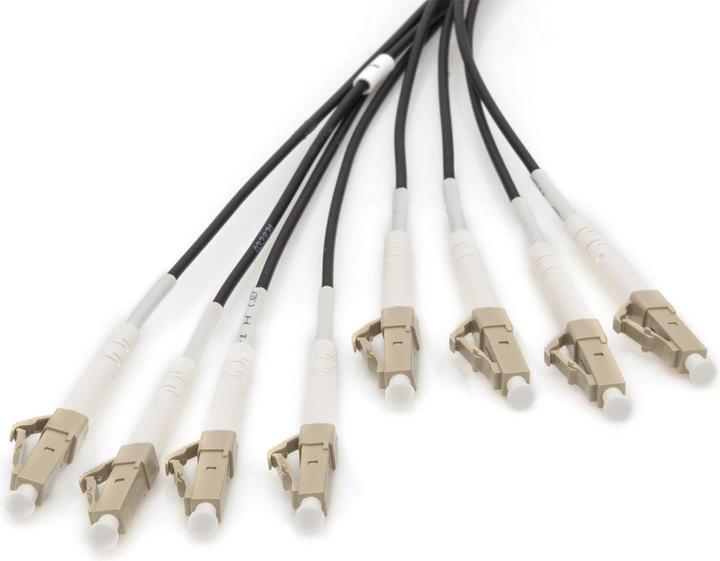 Produktbild Digitus Vorkonfektionierte Glasfaser Universal Breakout Kabel, Multimode OM4, 8 Fasern, LC/UPC - LC/UPC (LSOH, 50 m)