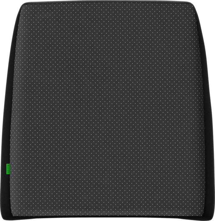 Actual product image Razer Lumbar Cushion