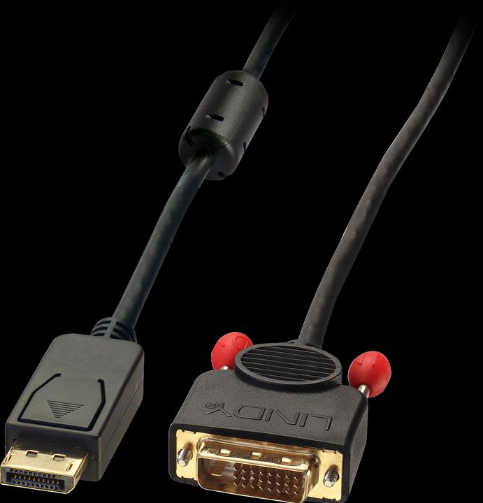 Produktbild Lindy DisplayPort — DVI (0.50 m, DVI, DisplayPort)