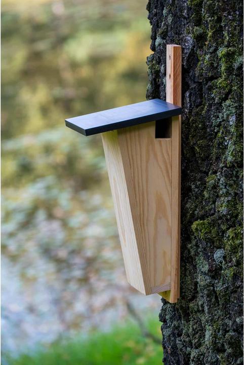 Actual product image Dobar Treecreeper nesting box, wood