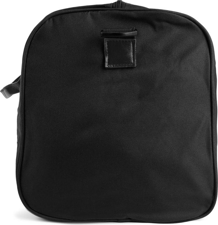 Actual product image Lazy Bear Leo