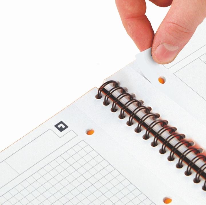 Immagine prodotto Oxford Meetingbook (A4, Quadretti, Copertina morbida)