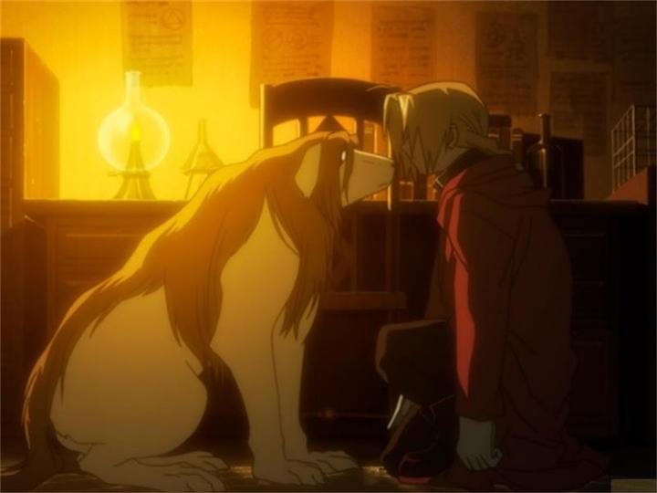 Produktbild Fullmetal Alchemist: Brotherhood Volume 5 (DVD, 2009, Deutsch)