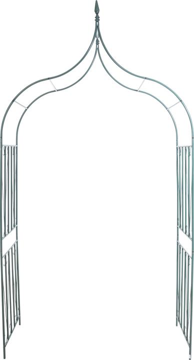 Immagine prodotto CLP 60 arco di rose, verde (60 cm, 141 cm)
