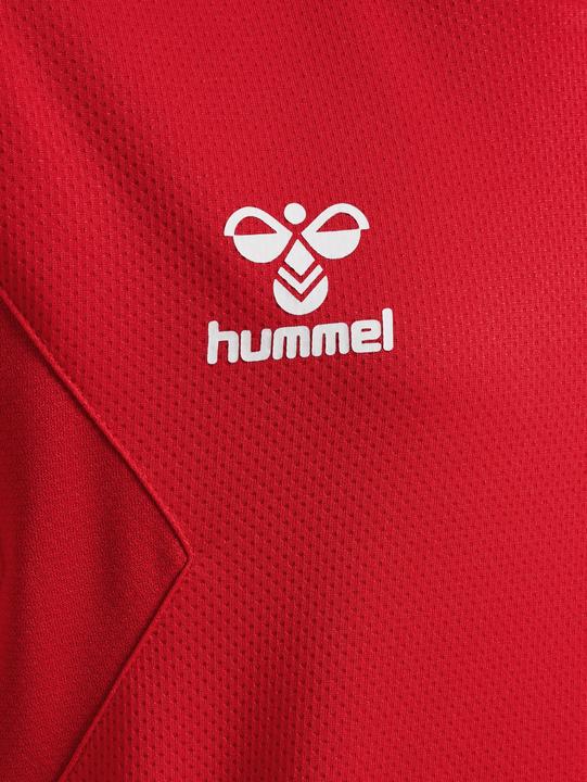 Immagine prodotto hummel Hmlauthentic Pl Hoodie Kids (164)