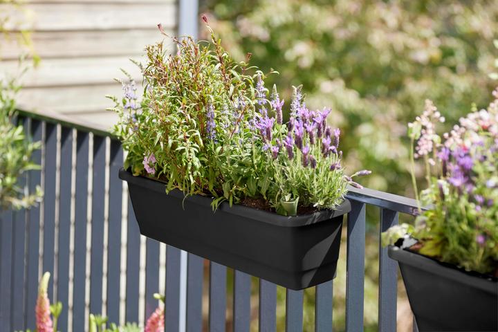 Actual product image Elho Noa balcony box (520 cm)