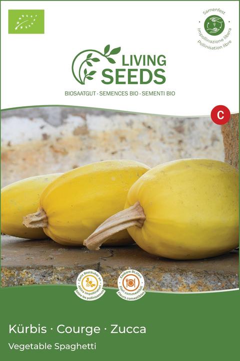 Actual product image Living Seeds Spaghetti squash (Vegetable seeds)