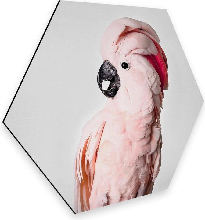 Produktbild Trenddeko Rosa Kakadu (75 x 65 cm)