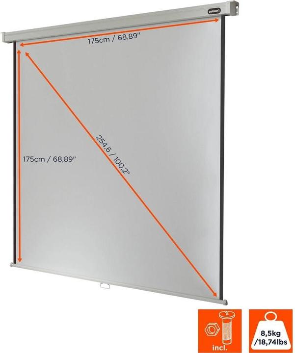 Produktbild Celexon Rollo Professional, Leinwand, 1:1 (97.24", 1:1)