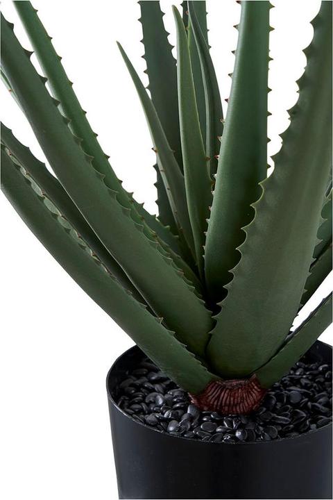 Immagine prodotto House Nordic Aloe (51 cm)