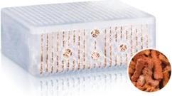 Actual product image Juwel Aquarium Filter material Phorax for Bioflow 8.0 (Internal filters, Fresh water, Sea water)