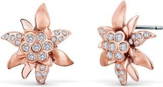 Produktbild Crystalp Edelweiss Bronze Earrings with Crystals 4150.RG