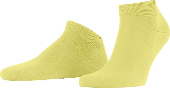 Produktbild Falke ClimaWool Herren (41 - 42)