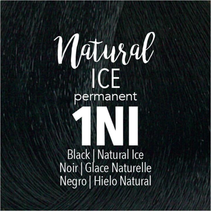 Produktbild Mydentity by Guy Tang mydentity Permanent - 1NI Black Natural Ice (Black, Natural, Ice, 1NI)
