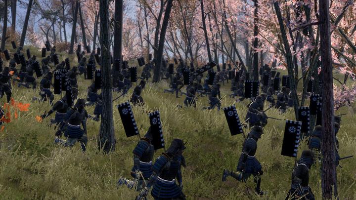 Produktbild Sega Total War : Shogun 2 Collection (PC, DE)