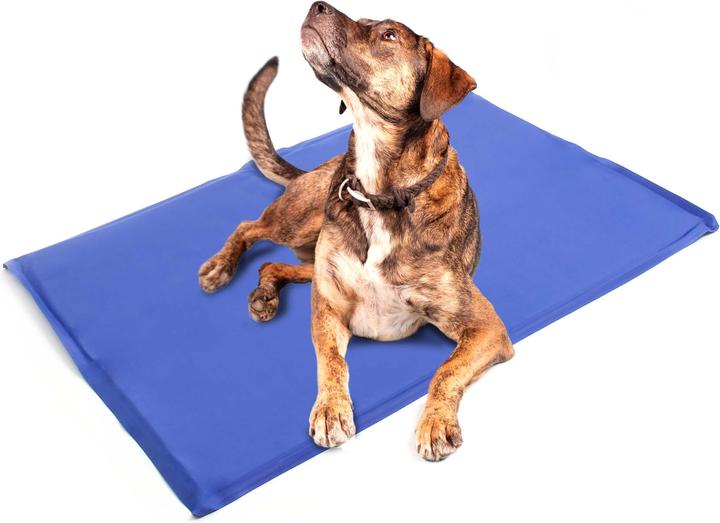 Image du produit Fudajo Tapis de refroidissement (Chat, Chien)
