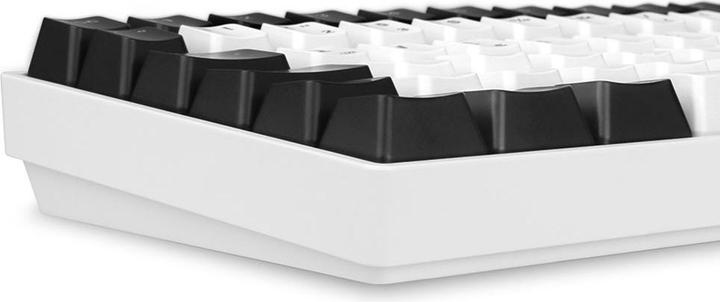 Image du produit Sharkoon SGK50 S3 (DE, Filaire)