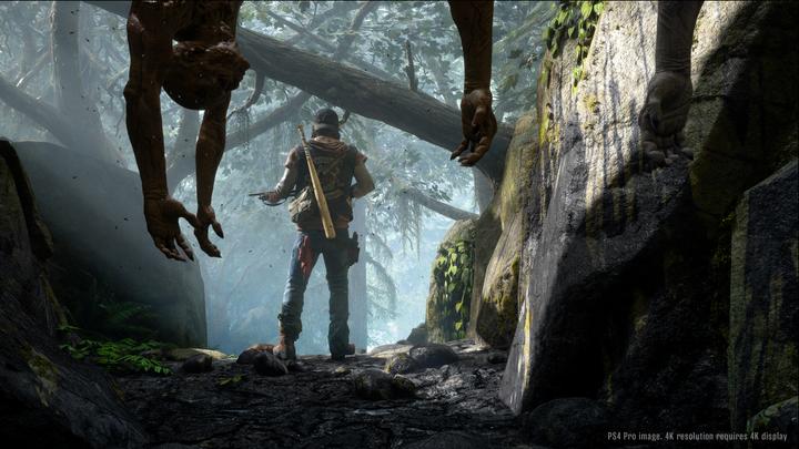 Actual product image Sony Days Gone, PS4 Standard PlayStation 4 (PS4)