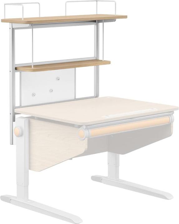 Immagine prodotto Moll Winner Compact (86 x 28 cm)