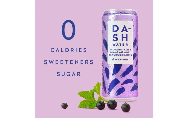 Image du produit Dash Water Blackcurrants (12 x 33 cl)