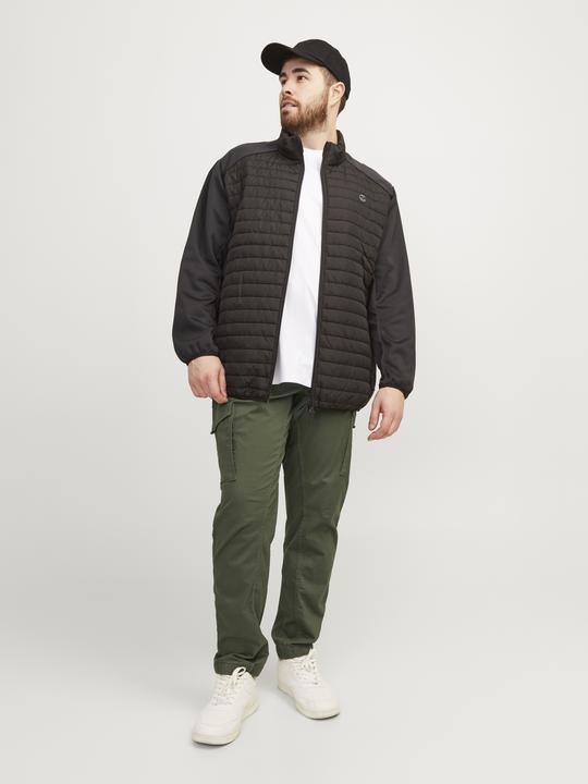 Image du produit Jack & Jones Paul Flake AKM 542 Pantalon Cargo Plus Size (46)