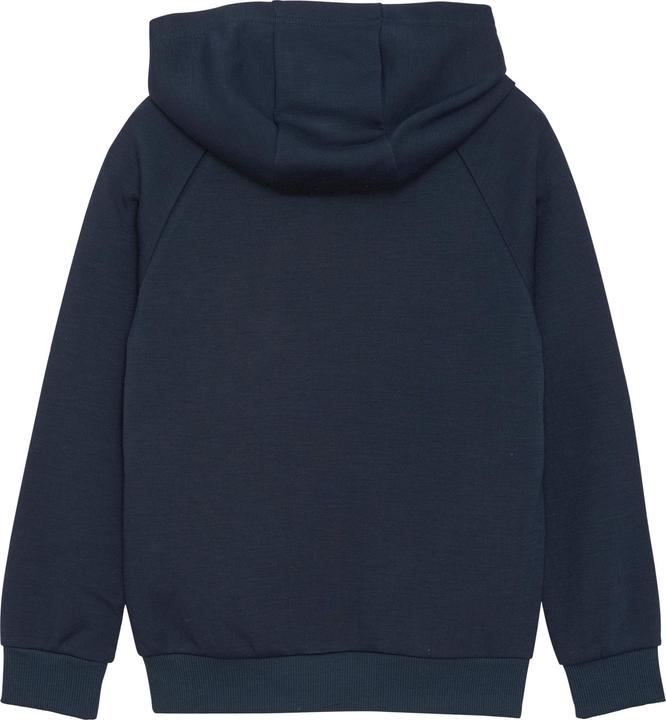 Image du produit Color Kids Sweat à capuche Solid (110)