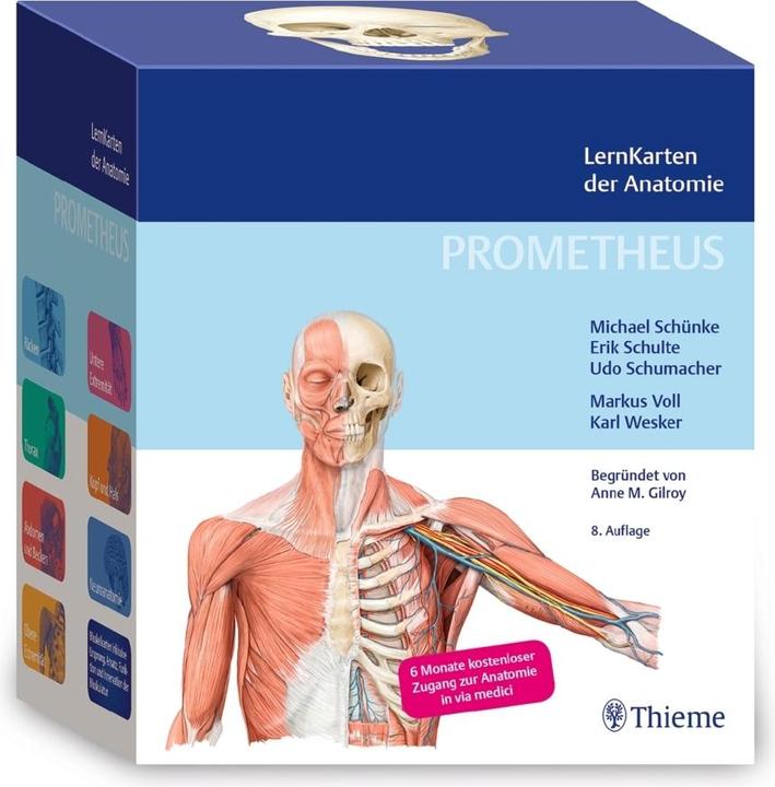 Produktbild Prometheus LernKarten der Anatomie (Deutsch, Michael Schünke, Erik Schulte, Udo Schumacher, 2022)