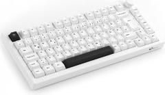 Produktbild Akko 5075B Plus S (DE, Kabelgebunden, Docking, Kabellos)