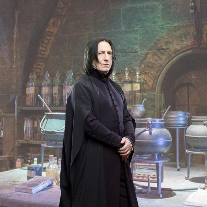 Actual product image Noble Collection Harry Potter Professor Snape's wall wand